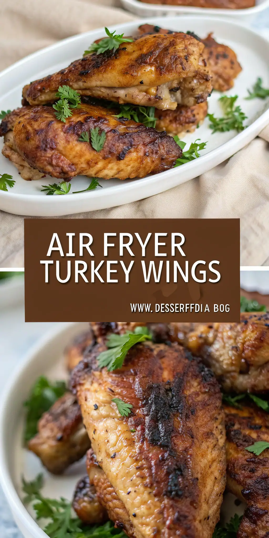 Pinterest image 1 for Air Fryer Turkey Wings