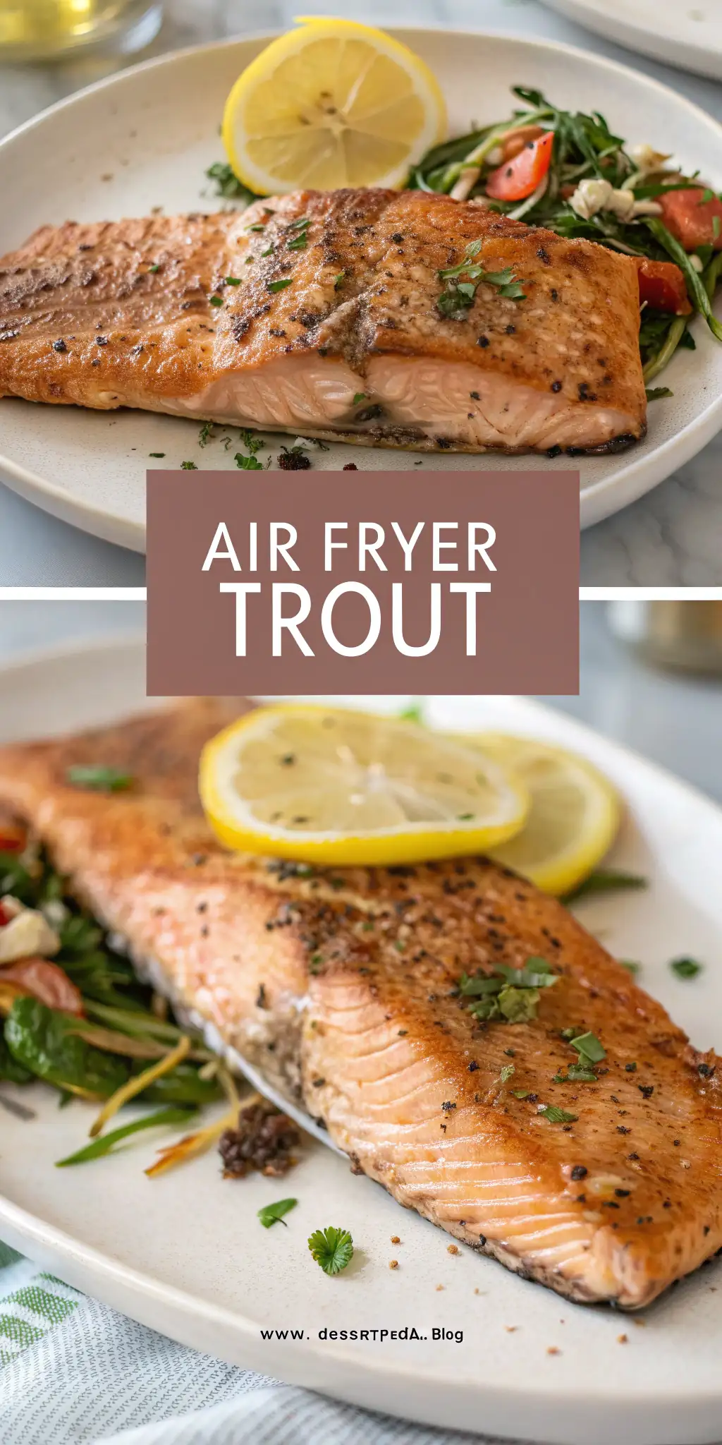 Pinterest image 2 for Air Fryer Trout