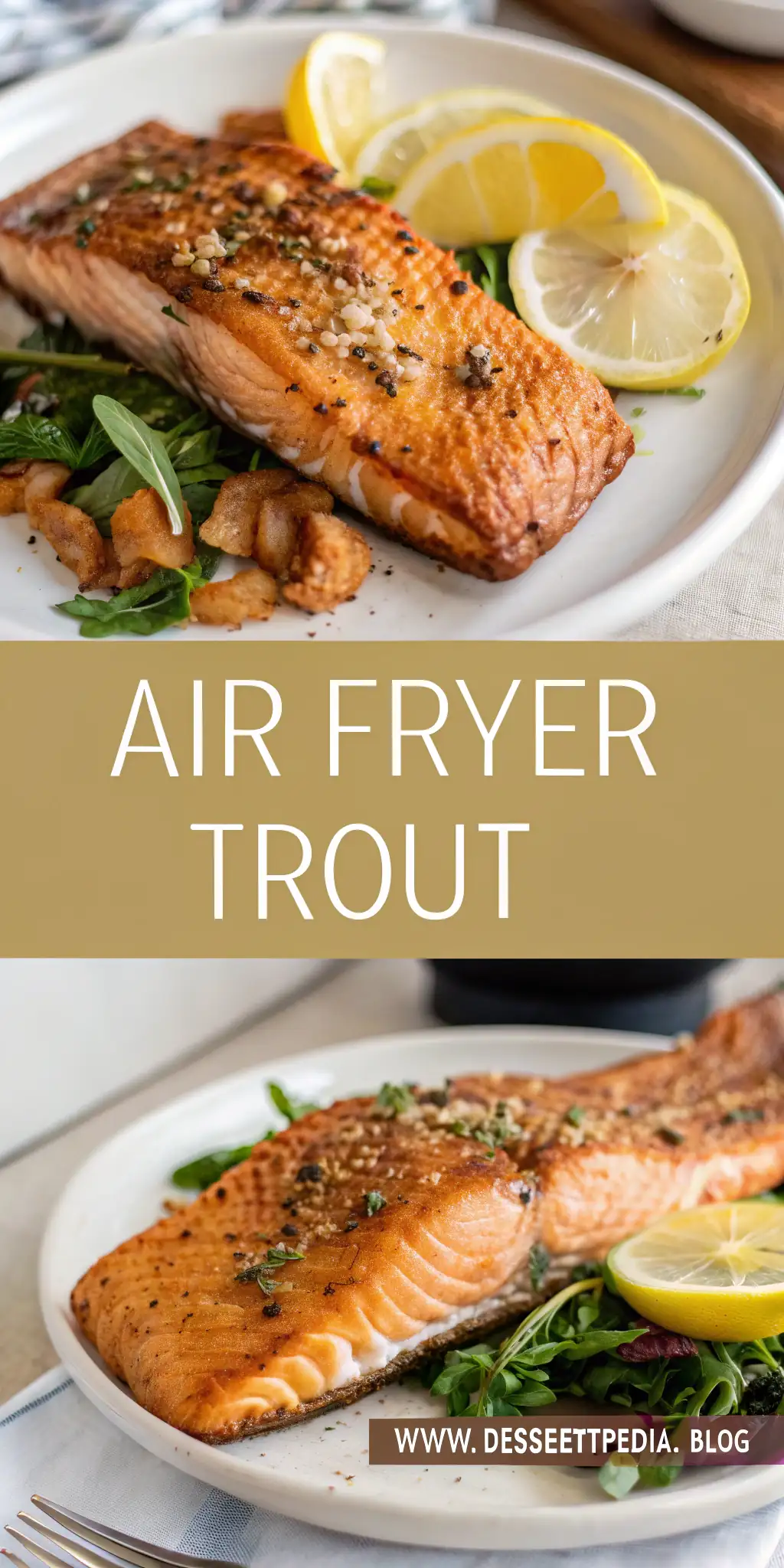 Pinterest image 1 for Air Fryer Trout